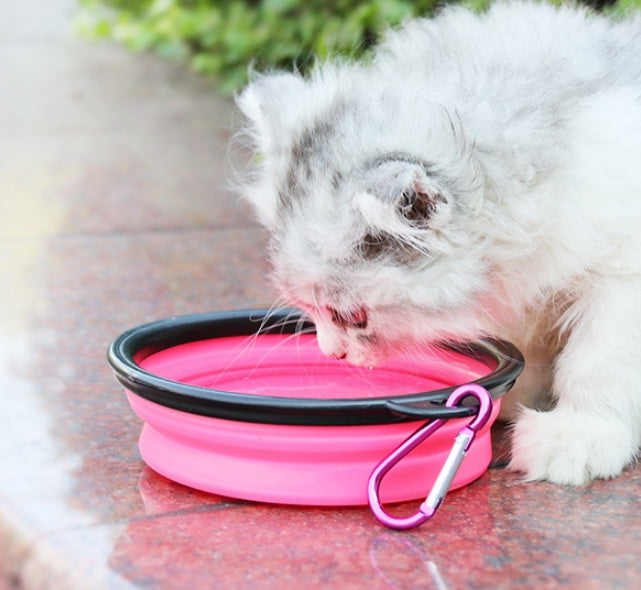 2-in-1 Portable Pet Water Bottle & Silicone Bowl – Travel Dog & Cat Dispenser