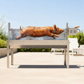 52-Inch Stainless Steel Charcoal Rotisserie Spit Roaster With Wind Shield (SAK37482)