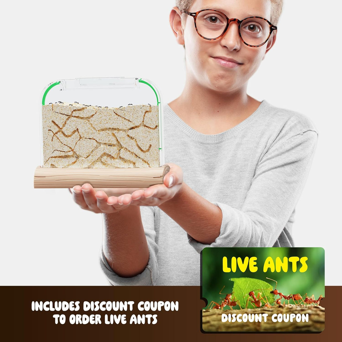 Dan & Darci Educational and Fun Ant Farm Kit