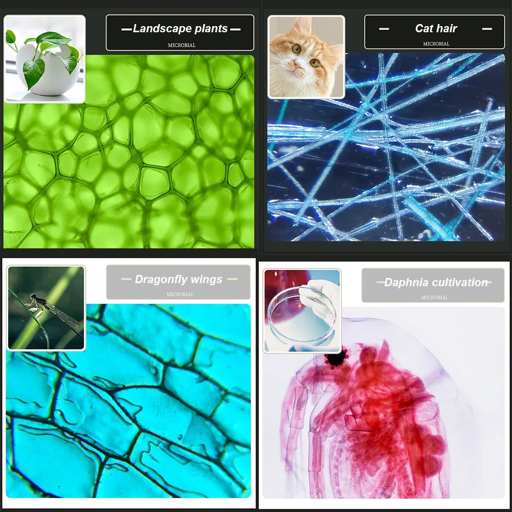 Kids Biology Microscope Kit with LED – 1200x Zoom for School Science Experiments
