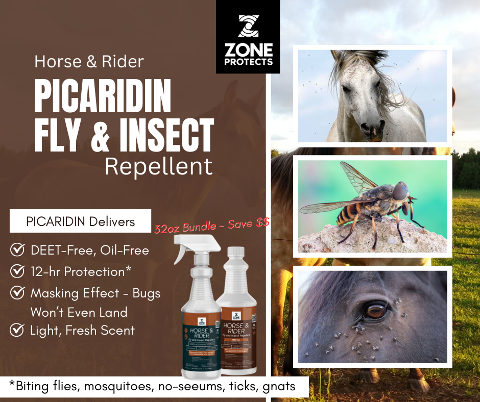 Horse & Rider Fly & Insect Repellent Spray-Refill, 32oz Bundle