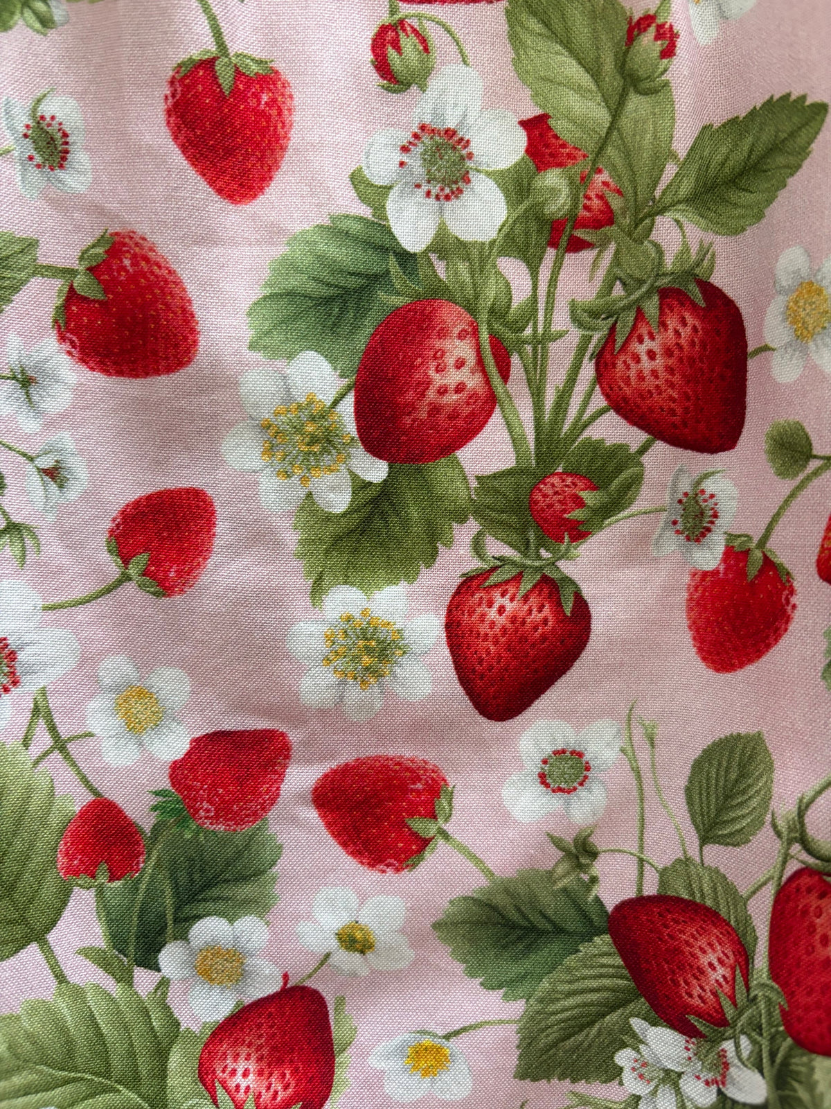 Strawberry Collared Dress - 2X only