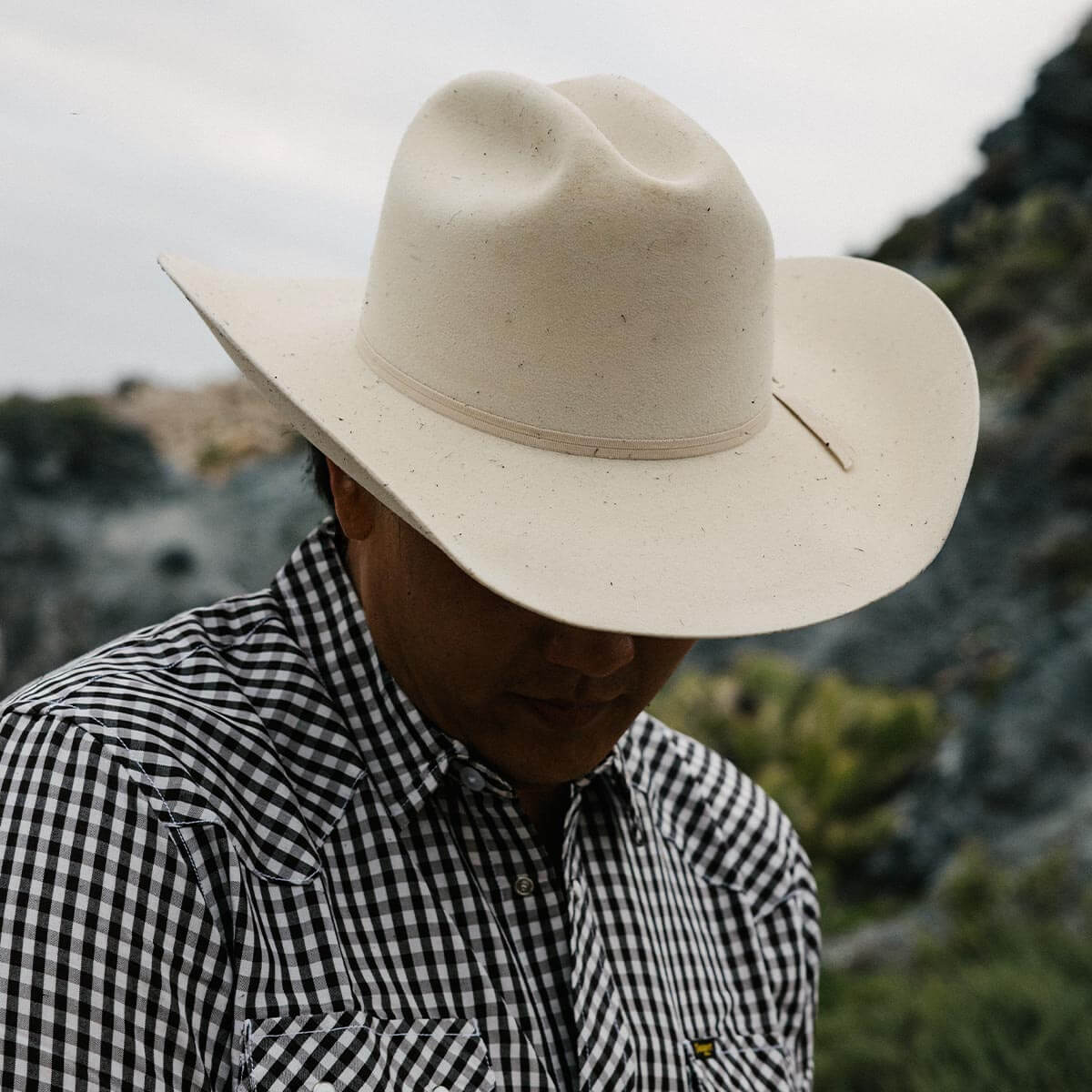 Seager Longhorn - (10X) Fur Felt Cowboy Hat