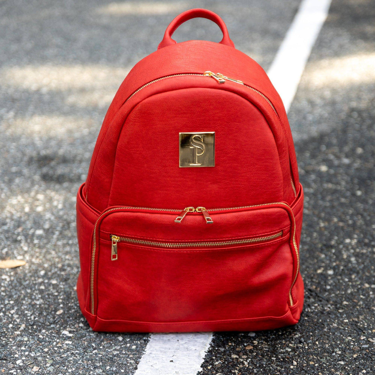 Red Leather Carrier Backpack