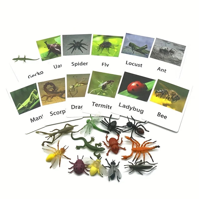 Montessori Animal Matching Cards - Language Learning Cognitive Toy for Kids, Insect Farm Zoo, Preschool Educational Toy for 1-2 Years Old Toddlers