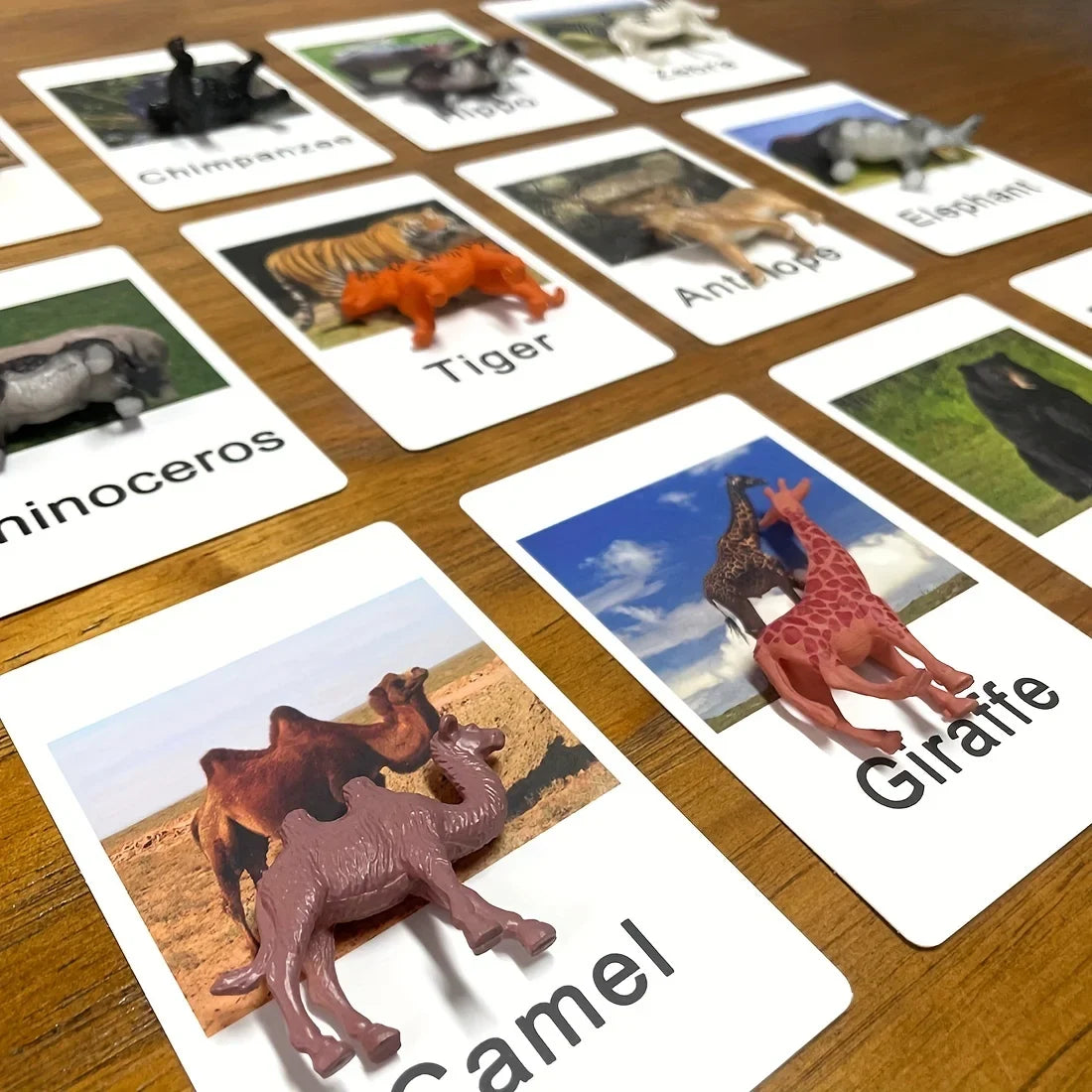 Montessori Animal Matching Cards - Language Learning Cognitive Toy for Kids, Insect Farm Zoo, Educational Preschool Toy for 1-2 Years Old Toddlers