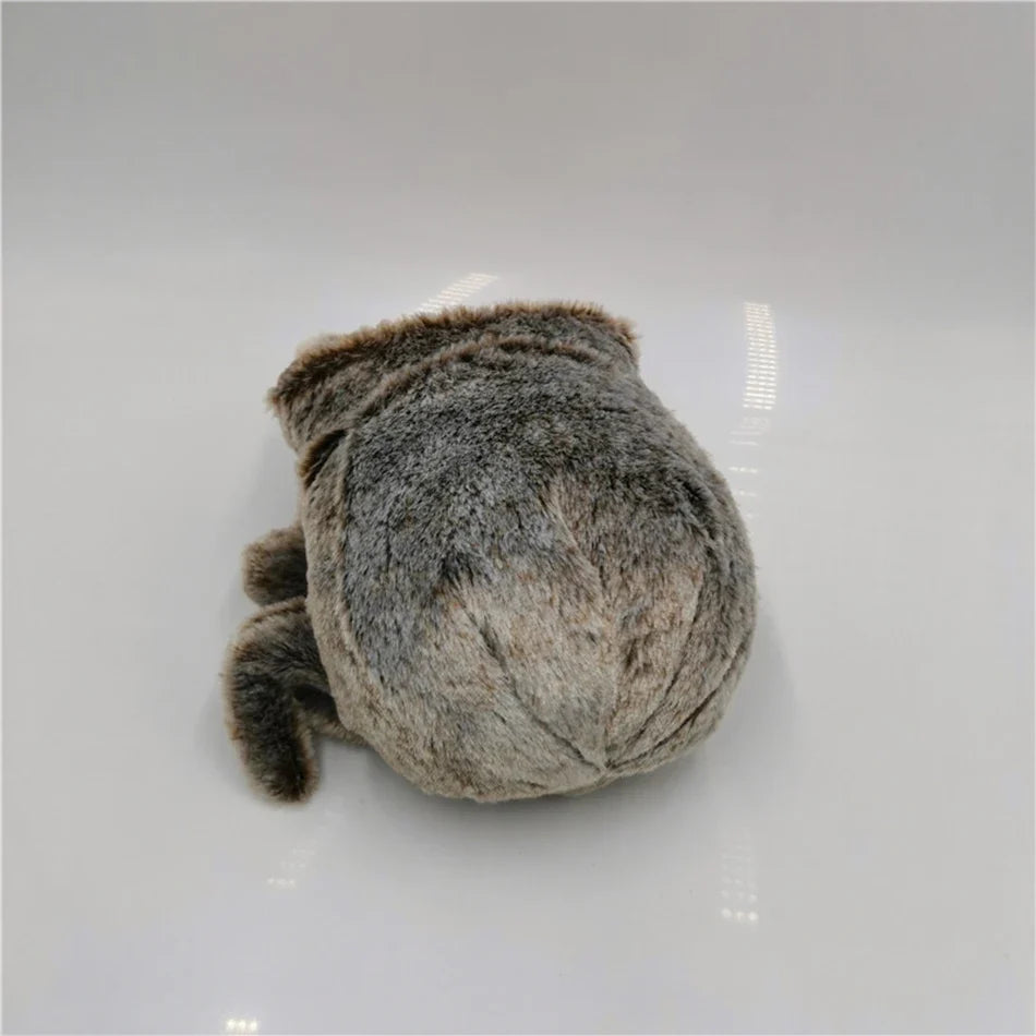 Black Spider Plush Toy – Lucas Simulated Pillow
