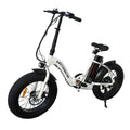 Portable Electric Bike 20" Fat Tires 500W Motor