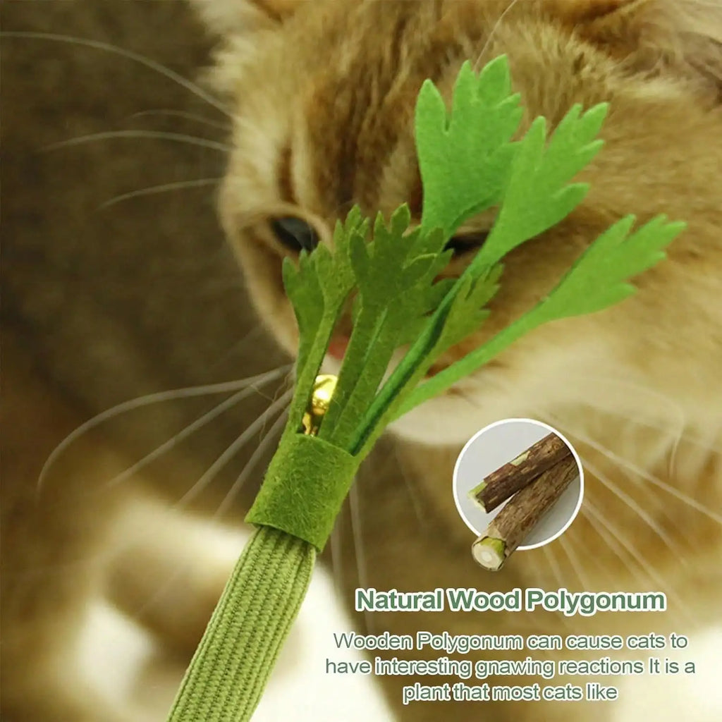 Silvervine Cat Toy Realistic Celery Chew Toy with Bell for Cats