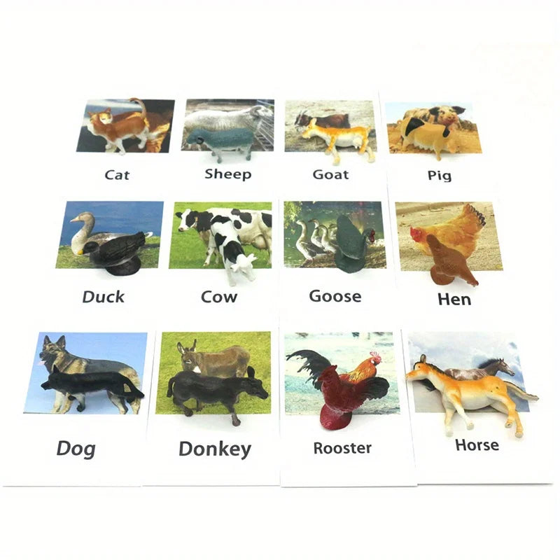 Montessori Animal Matching Cards - Language Learning Cognitive Toy for Kids, Insect Farm Zoo, Educational Preschool Toy for 1-2 Years Old Toddlers