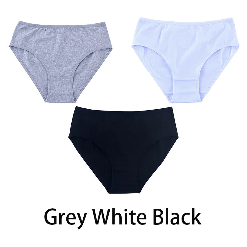 3PCS/Set Women Sexy Seamless Cotton Panties Big Size Underwear Female Underpants Girls 6 Solid Color Soft Briefs Lingerie 8815