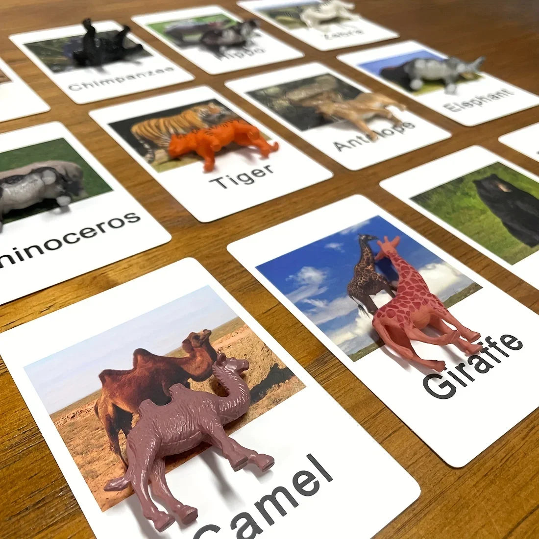 Montessori Animal Matching Cards - Language Learning Cognitive Toy for Kids, Insect Farm Zoo, Preschool Educational Toy for 1-2 Years Old Toddlers