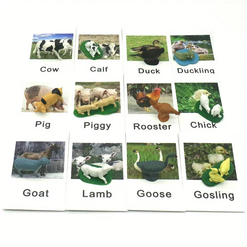 Montessori Animal Matching Cards - Language Learning Cognitive Toy for Kids, Insect Farm Zoo, Educational Preschool Toy for 1-2 Years Old Toddlers