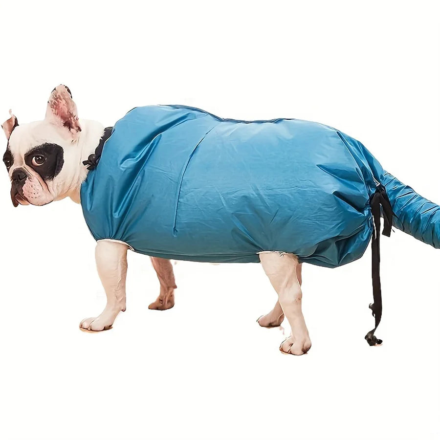 French bulldog wearing the blue inflatable dog drying bag with the dryer hose sleeve attached