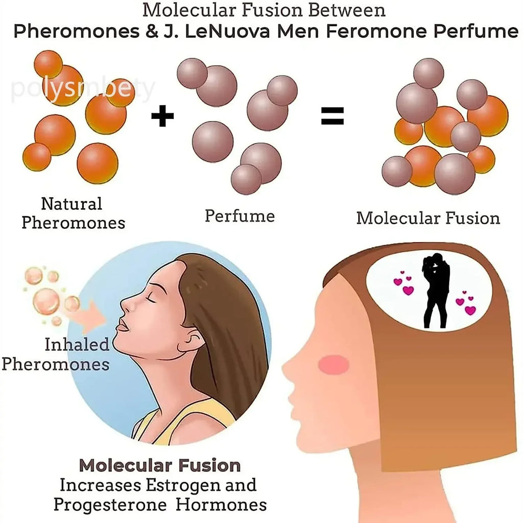 Androstenone Pheromone Oil Enhances Attraction & Sexual Appeal For Men Women Long Lasting Body Sexually Stimulating Pheromones