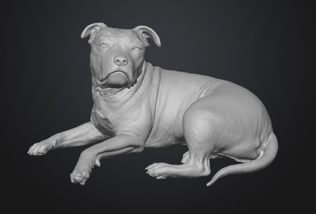 Dogs - Nora - 28mm (SLA001)