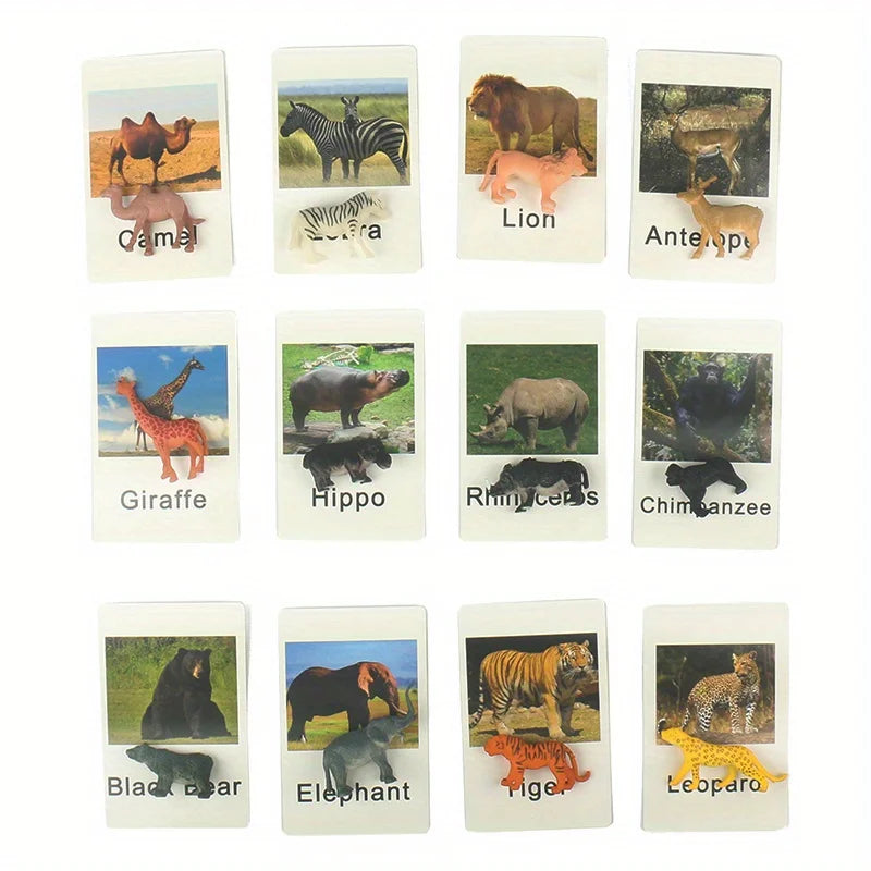 Montessori Animal Matching Cards - Language Learning Cognitive Toy for Kids, Insect Farm Zoo, Educational Preschool Toy for 1-2 Years Old Toddlers