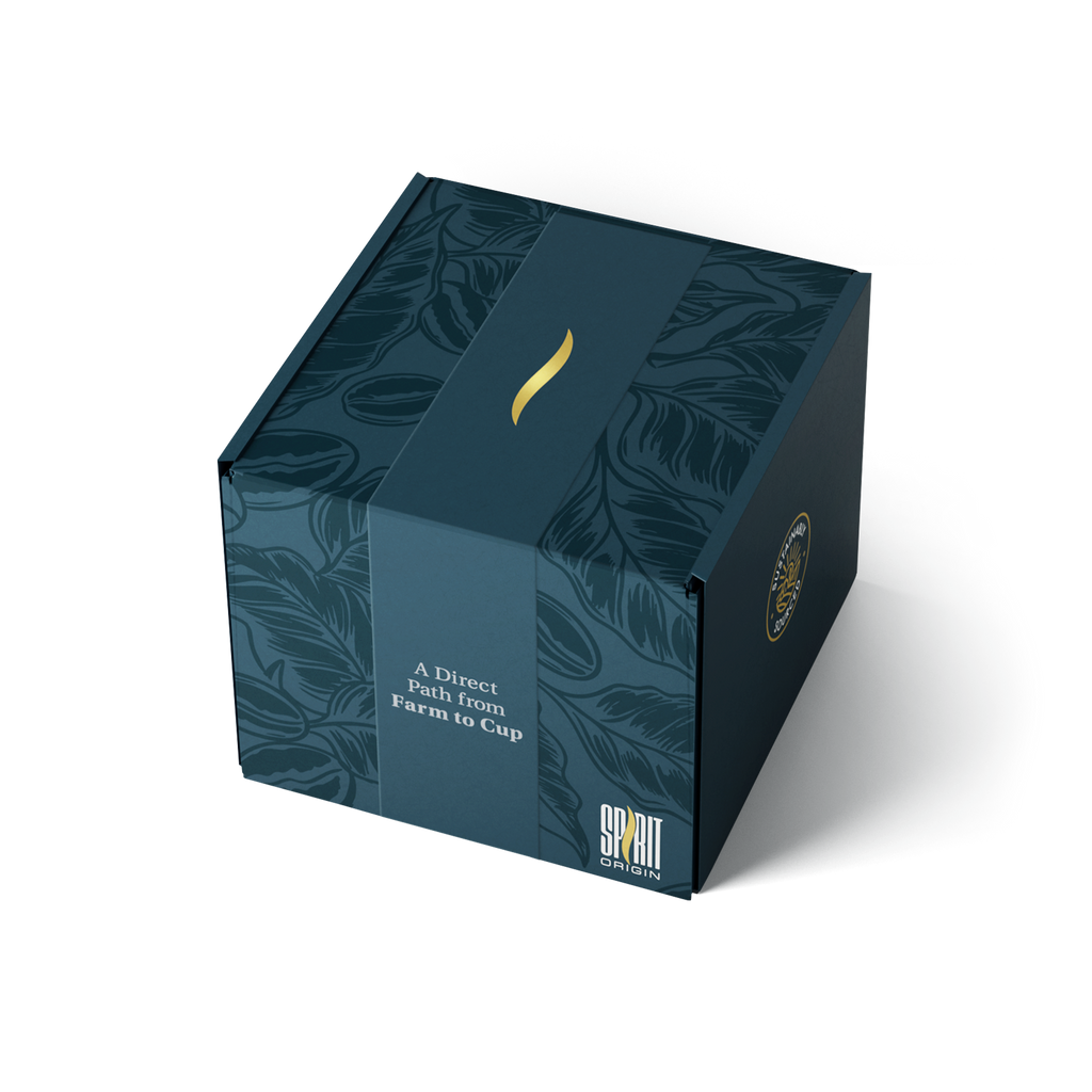 Single-Serve Pour-Over Drip Coffee Bags – Mix Sample Set, Specialty Coffee (10-Pack)