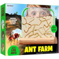Dan & Darci Educational and Fun Ant Farm Kit