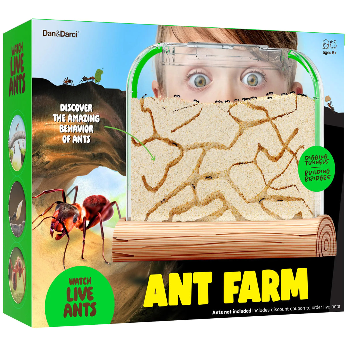 Dan & Darci Educational and Fun Ant Farm Kit