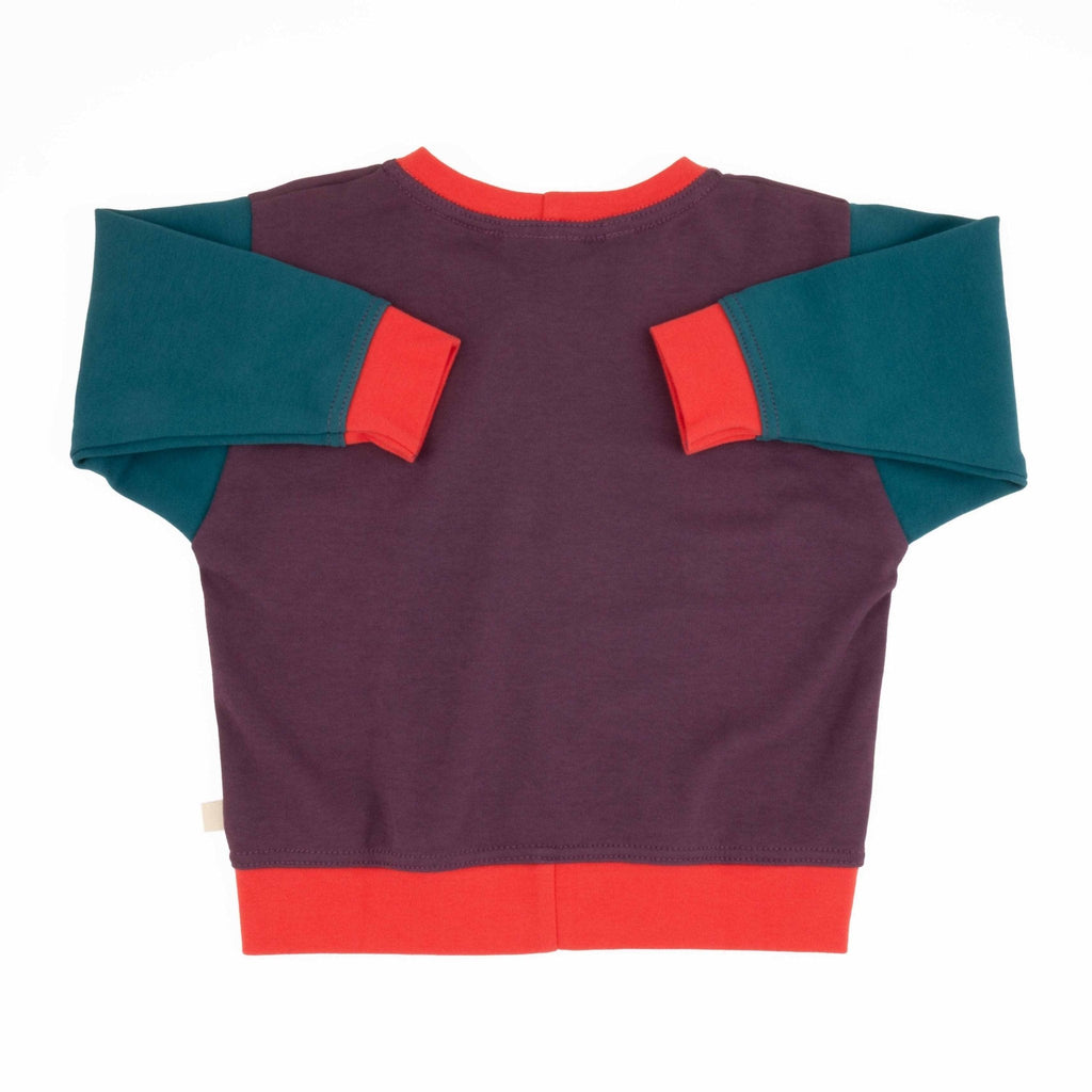 Adult Colorblock Sweatshirt