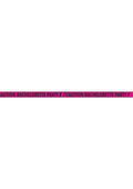 Bachelorette Party Caution Tape