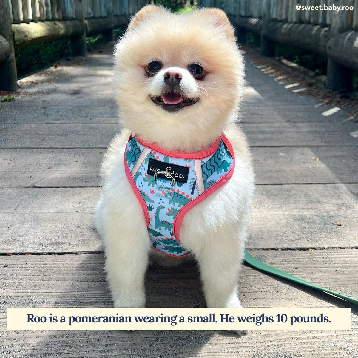 DinoROAR No-Pull Dog Harness