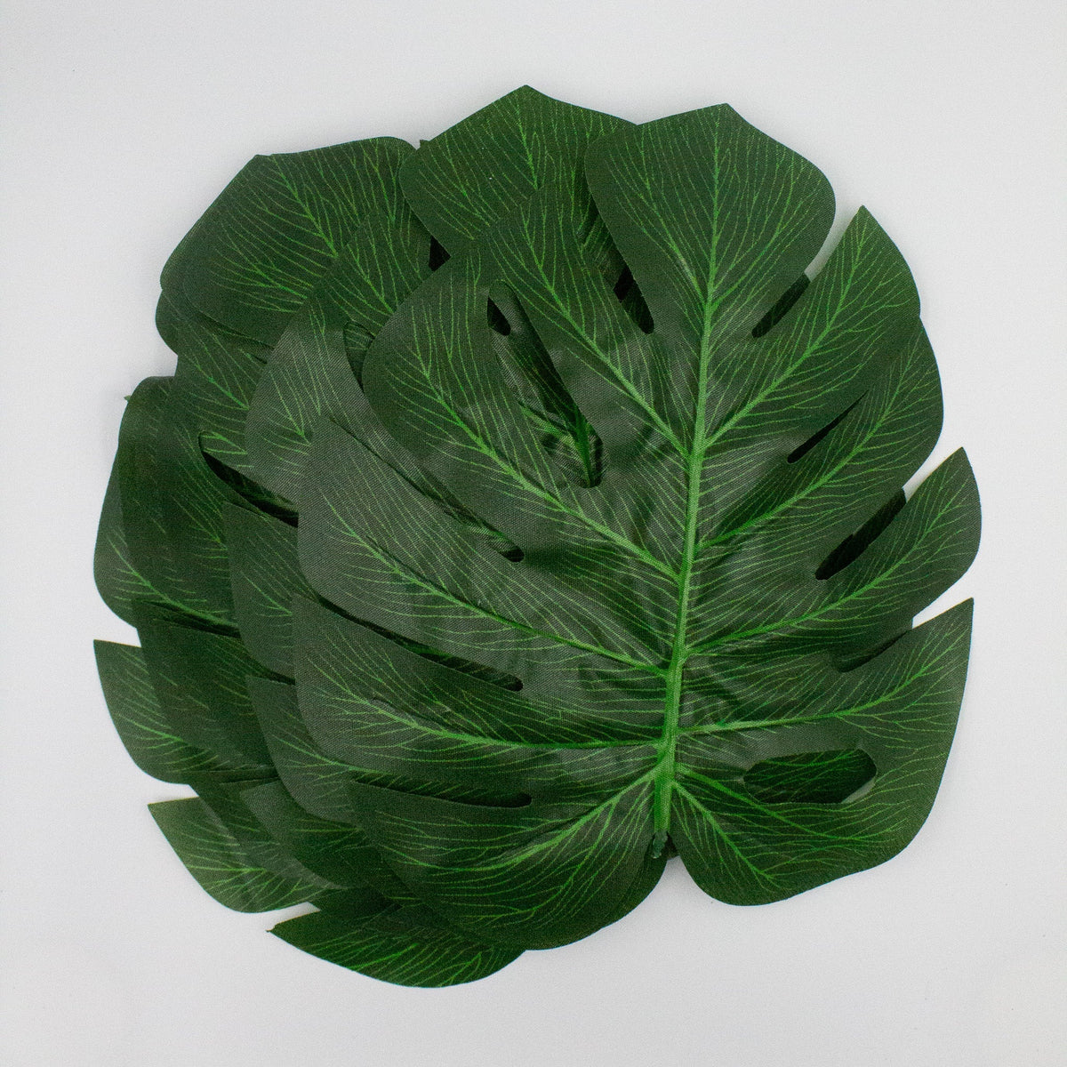 Monstera Tropical Leaves